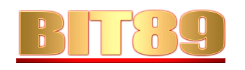 Logo Bit89