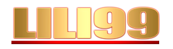 Logo Lili99