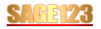 Logo Sage123