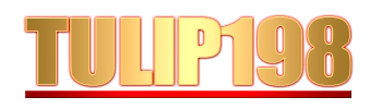 Logo Tulip198