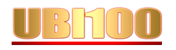 Logo UBI100